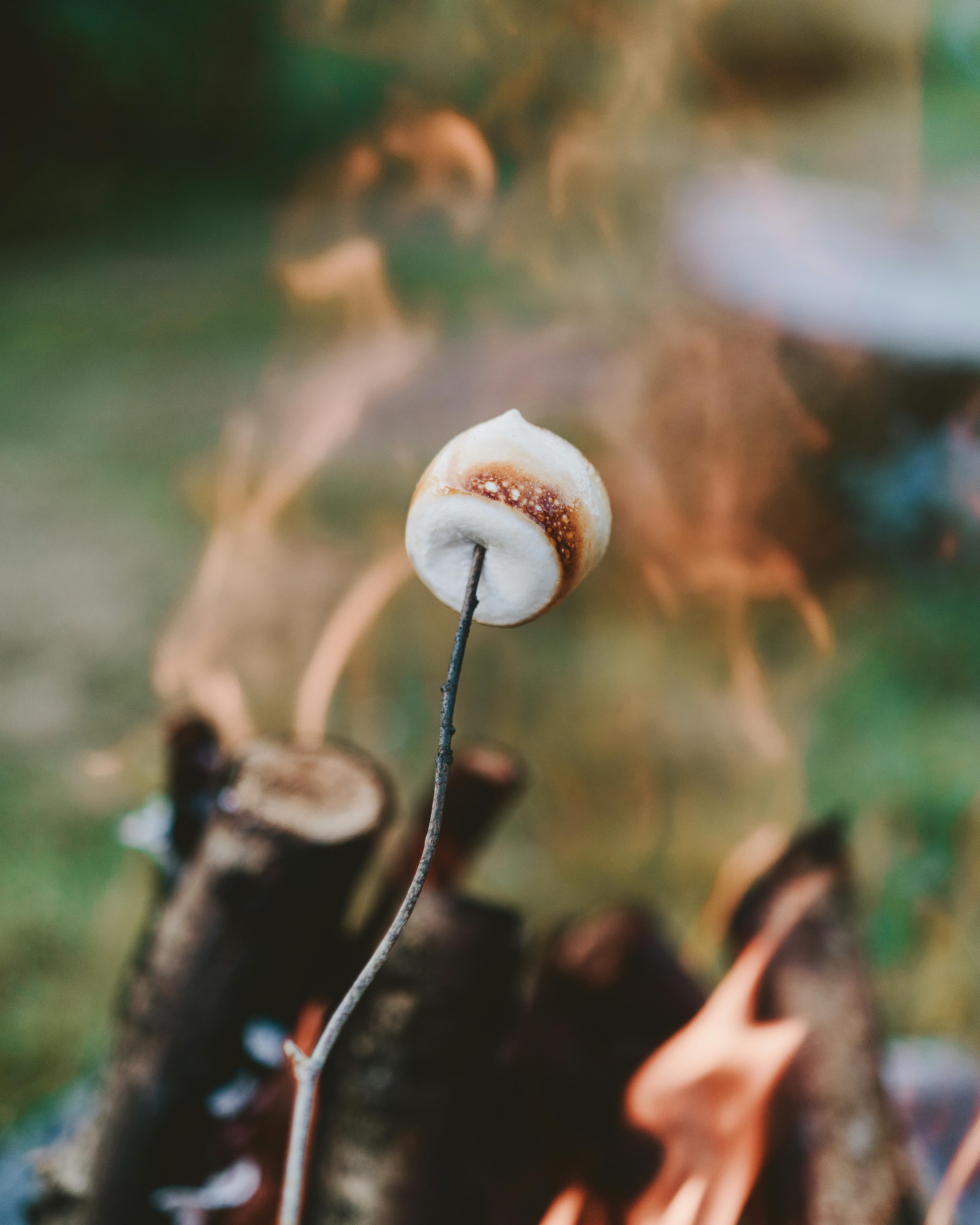 pexels-jack-redgate-333633-2929197.jpg